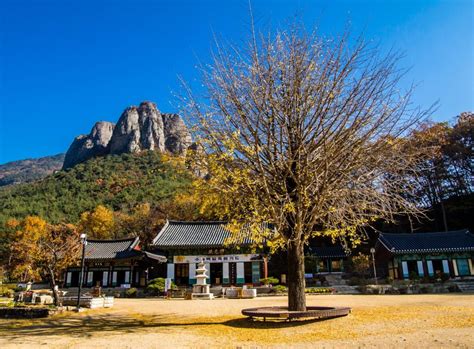 Incredible Juwangsan National Park Hiking South Korea Go Travel