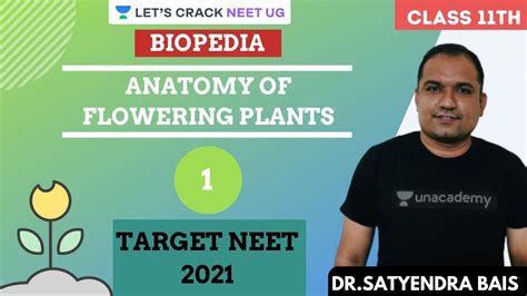 Anatomy Of Flowering Plants Part 1 Class 11th Target Neet 2021
