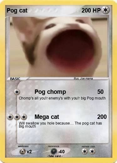 Pokémon Pog Cat 3 3 Pog Chomp My Pokemon Card