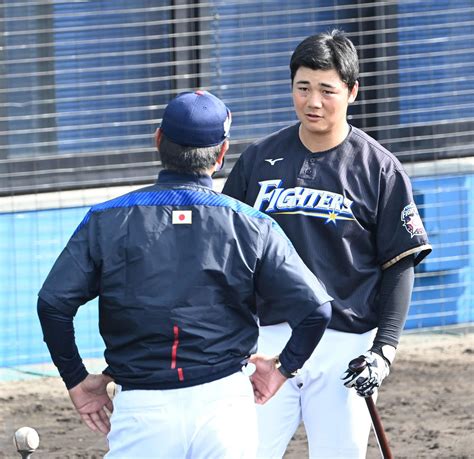 日本ハム清宮が無安打「このオフが大事」侍稲葉監督 プロ野球写真ニュース 日刊スポーツ