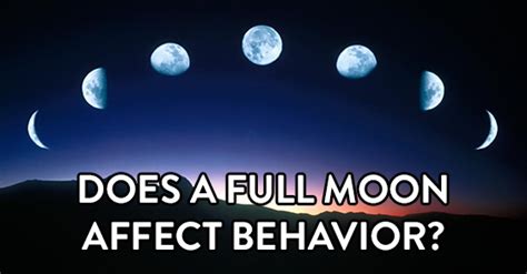 We did not find results for: Fact Check: Does a full moon affect behaviors?