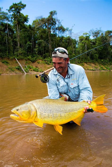 Fishingmegastore Blog: October Fish of the Month Entry - Golden Dorado!