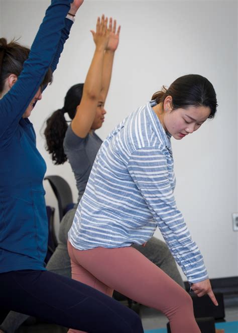 Yoga Teacher Training 200 Hour Certification Continuing Education