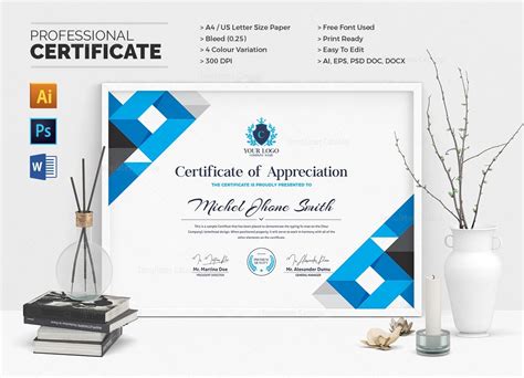 Professional Certificate 000505 Template Catalog