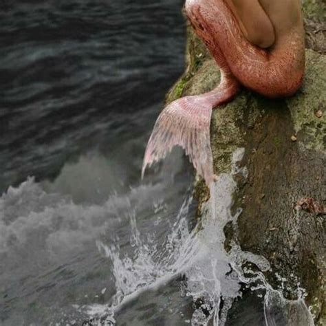 Siren Mermaid Mermaid Dreams Mermaid Life Mermaid Art Dark Mermaid