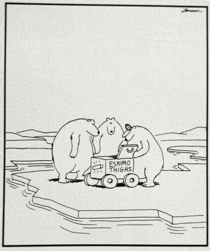 Gary Larson Cartoon With Camel In Desert Right Before It