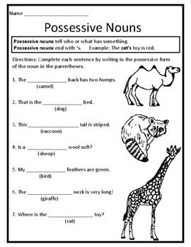 Possessive Nouns Worksheet Possessive Nouns First Grade Worksheet Possessive