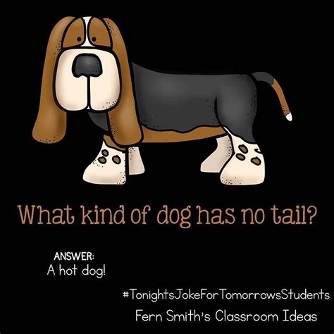 Tonights Joke For Tomorrows Students What Kind Of Dog Has No Tail A