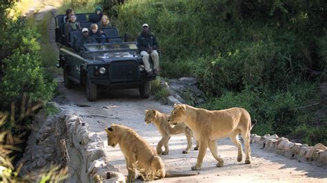 Kruger National Park Luxury Safaris South Africa