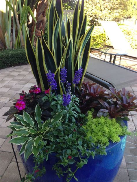 Blue Flowerpot Arrangement Lots Of Color Garden Containers Plants