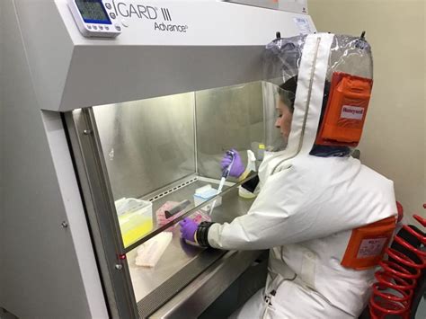 ‘nanosponges Act As A Decoy For The New Coronavirus