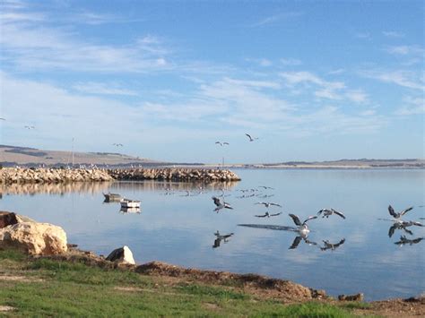 Kangaroo island cabins, located in kingscote, kangaroo island, is a popular choice for travelers. Home | Kangaroo Island Cabins