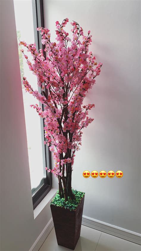 bunga sakura hiasan ruang tamu letakkan  hiasan unik  ruang