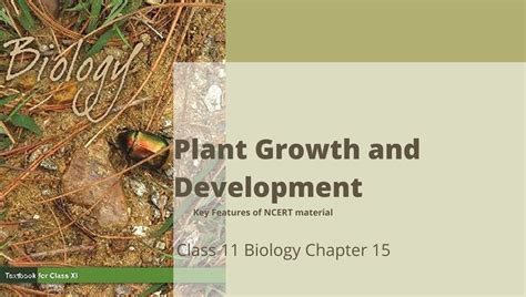 Plant Growth And Development Class 11 Biology Ncert Chapter 15 Reeii