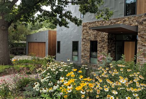 Backyard Biodiversity — Karla Dakin