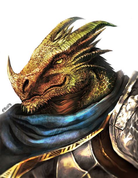 165 Best Dragonborn Images On Pinterest Character Art