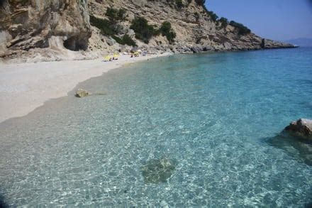 Check spelling or type a new query. Strand der Möwen in Fano • HolidayCheck