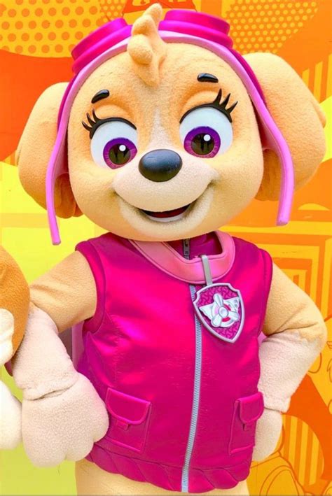 Pin By Kyrie On Mascot And Costume Appreciation Corner Paw Patrol Party
