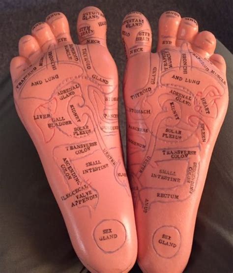 Try A Certified Reflexology Session Today Try A Certified Reflexology