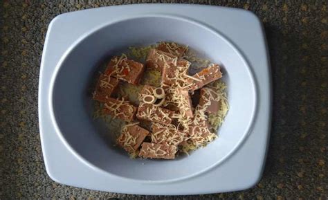 Best dog food for chihuahuas: 5 Best Foods for Chihuahuas - Caring For All Pets, Tips ...