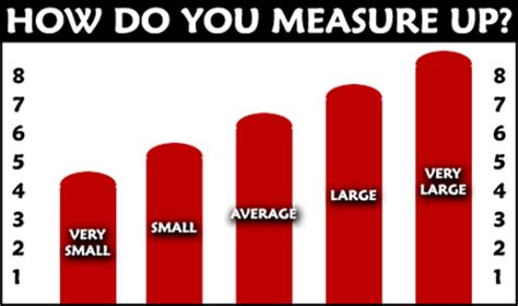 Penis Size Chart Find Out About Average Penis Size Using These Easy