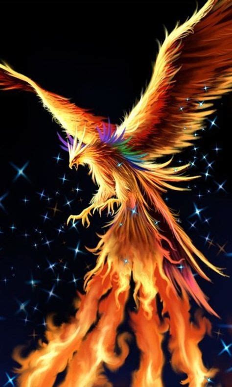 9 Best Vermilion Bird Tattoo Images In 2020 Phoenix Bird Phoenix Art
