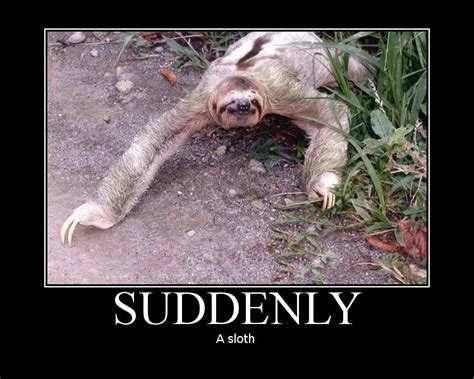 Sloth Animal Funny Quotes Quotesgram