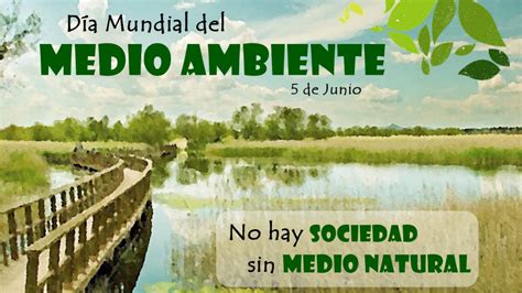 Sitio oficial relativo al día mundial del medio ambiente de las naciones unidas. Día Mundial del Medio Ambiente, únete contra el plástico en el mundo | El Gráfico Historias y ...