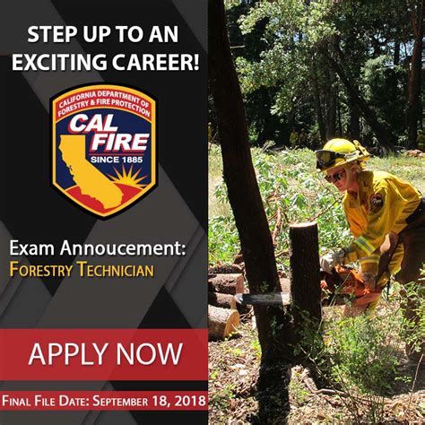 Official twitter account of cal fire. CAL FIRE Careers on Twitter: "Want to start your career in ...