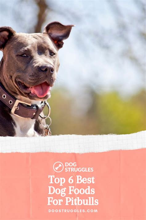 Is your dog having allergies? Top 6 Best Dog Foods for Pitbulls (With images) | Best dog ...