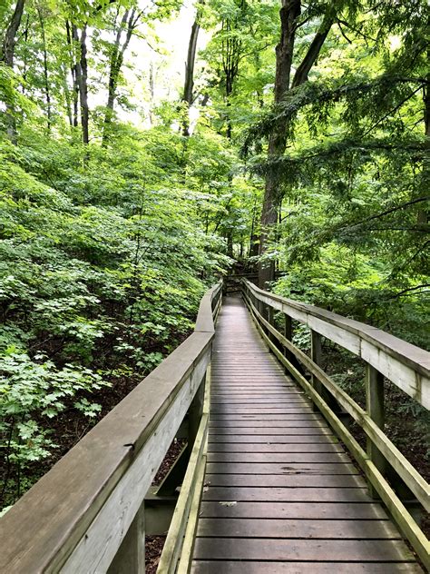 Kortwright Centre Trails in Woodbridge
