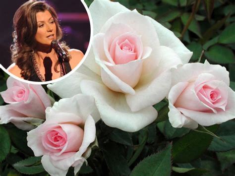 24 Flowers Named For Celebrities Hgtv