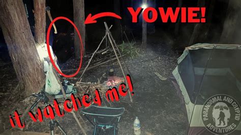Yowie Finding Australias Sasquatch Season 3 Finale Stalked By