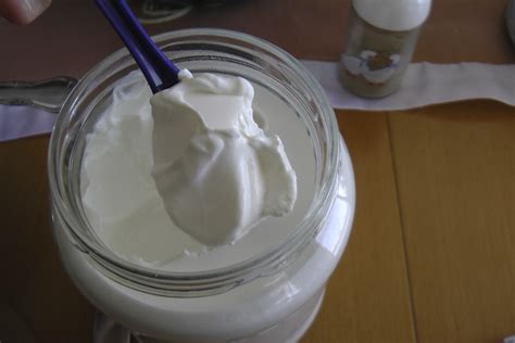 Creme fraiche is slightly thicker than sour cream, and it tastes less sour, too. How to Make Homemade Sour Cream (Creme Fraiche) - Northern ...