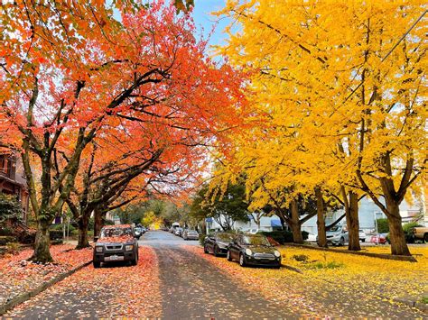 Portland In The Fall Is Seriously The Best Rportland