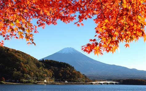 Wallpaper Japan Mount Fuji Autumn Red Leaves 1920x1200 Hd Picture Image