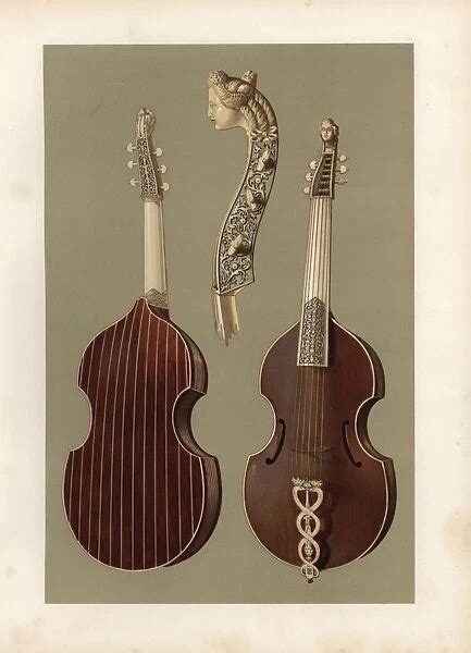 Viola Da Gamba Or Bass Viol With Carved Ivory Head