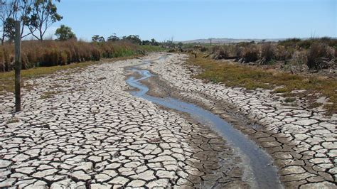 Droughts Are Threatening Global Wetlands New Study Newsroom