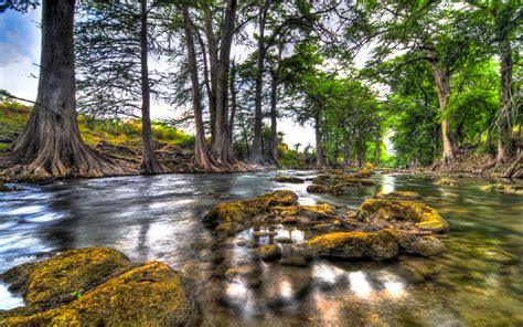 Landscapes Water Reflection Rock Trees Forest Hdr Wallpaper 1920x1200