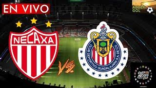 Necaxa Vs Guadalajara En Vivo Jornada Liga Bbva Mx Clausura