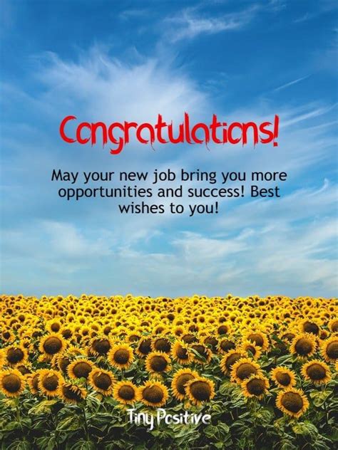 165 Best Wishes For New Job Congratulations Messages Quotes Messages