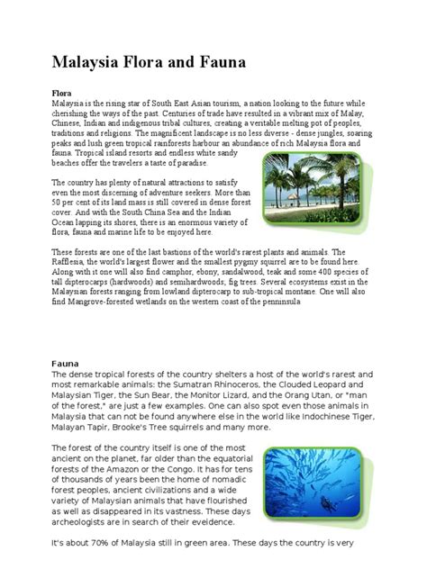 Persebaran flora dan fauna di muka bumi digolongkan berdasarkan pembagian iklim di dunia yaitu iklim panas. Malaysia Flora and Fauna | Malaysia | Rainforest