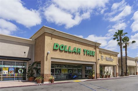 Dollar Tree Bulk Online Shopping Kitchn
