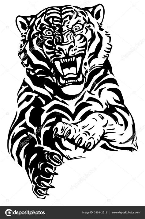 Tiger Jump Front View Stock Vector Image By Insima