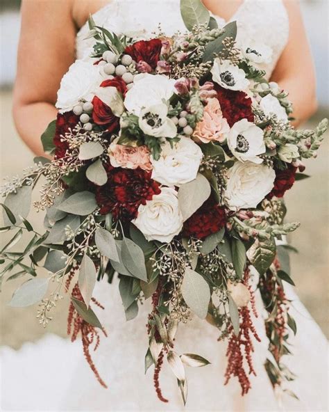 As a member of the lamiaceae family, this plant is related to such ornamental and culinary plants as sage (salvia), catmint (nepeta), thyme (thymus), and lavender (lavandula). #maroonwedding | Red wedding flowers, Wine wedding bouquet ...