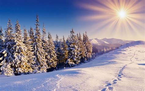 «è beneche l'estate rovente muoia. Sfondi Inverno (40+ immagini)