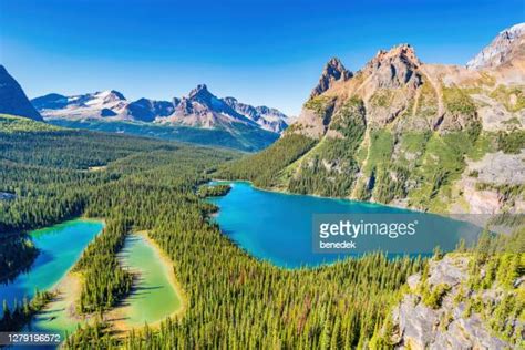 Yoho National Park Photos And Premium High Res Pictures Getty Images