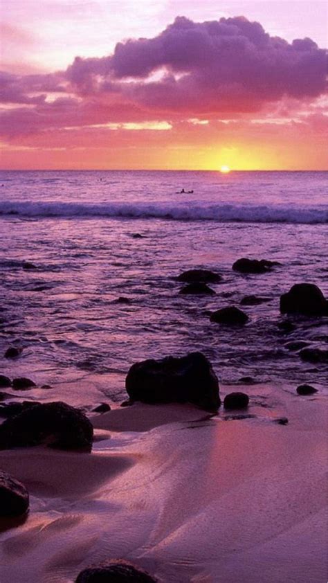 Pink Beach Sunset Iphone Wallpapers Top Free Pink Beach Sunset Iphone