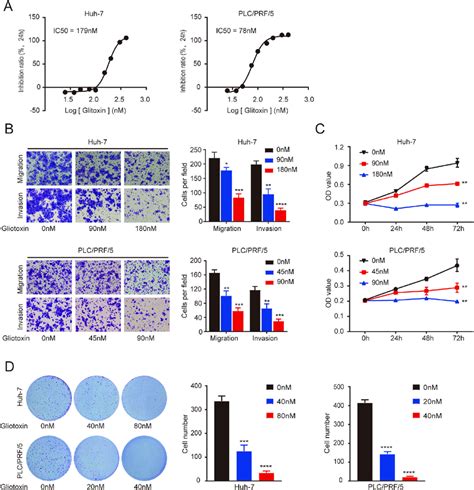 the rnf31 inhibitor gliotoxin inhibits the malignant behavior of hcc download scientific