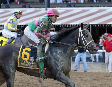 Five Breeders' Cup Horses to Consider at Attractive Odds | America's ...